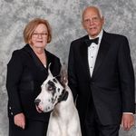 Cindy Tompkins Harwin - @harwincindy - Instagram
