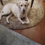 Cindy Tompkins Hunter - @cindy.t.schubert - Instagram