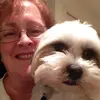 cindytompkinssart - @cindytompkinssart - TikTok