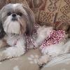 cindytraylor351 - @cindytraylor351 - TikTok