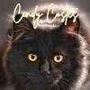 Cindy Costes72 - @cindyautrice - TikTok