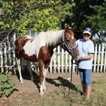 Cindy Turnbow - @turnbowhorses - Instagram
