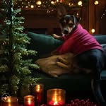 Cynthia Tyrell Reed - @cindyreed6339 - Instagram