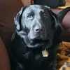 Cindy Josephine Valley - @cindy.josephine.v - TikTok