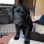 Cindy Valley - @cindy.valley8989 - Instagram