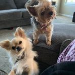 Cindy Vanke - Facebook
