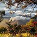 Cindy Vrabel - Facebook