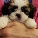 Cindy Vuong - @cindy.elaine.vuong - Instagram