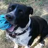 Cindy Walden - @cindy.walden5 - TikTok