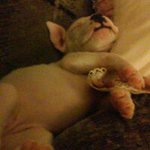 Cindy Walls - @cindy.walls.395 - Instagram
