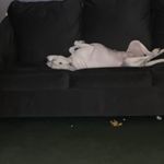 Cindy Walls - @cindy.walls.14661 - Instagram