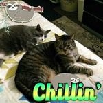 Cindy Warner - @cindy.warner.5099 - Instagram