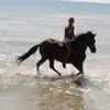 Cindy Warner - @cindy.warner1 - TikTok