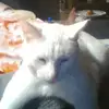 cindy warner - @cindy.warner6 - TikTok