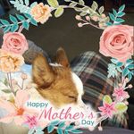 Cindy Warnick - @warnick_cindy - Instagram