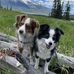 Cindy Warrick - Facebook