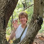 Cindy Webber - @cinderswebber - Instagram
