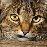 Cindy Webber - @cindy.webber.946 - Instagram