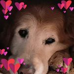 Cindy Webber - @mswebber2000 - Instagram