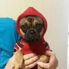 Cindy Webber Boutin - @cindy.webber.bout - TikTok