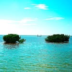 Cindy B. Weeks - @familyislandlife - Instagram