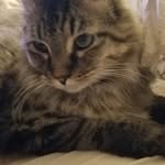 Cindy Weeks - @weekscindy3 - Instagram