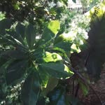 Cindy Weeks - @cindy.weeks.790333 - Instagram