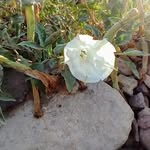 Cindy Weeks - @weeks2741 - Instagram