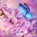Cindy Weller - Facebook