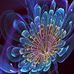 Cindy Weller - Facebook