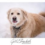 Cindy Wentzel - @cynd58 - Instagram