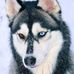 Cindy Wes - Facebook
