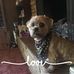Cindy Wheat - Facebook