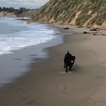 Cindy Whelan - @cwinsb - Instagram
