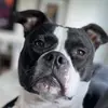 Cindy Wick697 - @cindywick697 - TikTok