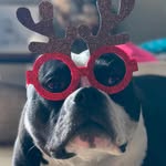 Cindy Wick - @cas0307 - Instagram