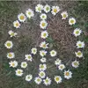 Cindy Wick van Tine - @cindy.wick.van.ti - TikTok