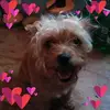 Cindy Wickwire - @cindy.wickwire - TikTok