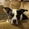 cindyhoaglandwick - @cindyhoaglandwick - TikTok