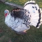 Cindy Wilburn - @cindy.wilburn.71 - Instagram