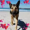 cindy - @cindywiseman400 - TikTok