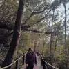 Cindy Woods - @cindy_wod - TikTok