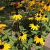 Cindy Woods - Facebook