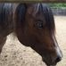 Cindy Worden - Facebook