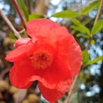 Cini Chacko - Facebook