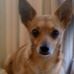 Cinnamon Rogers - Facebook