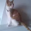 Cipriano Diaz - @ciprianodiaz1 - TikTok