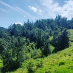 Circuito Turístico Ancalayo "Bosque del Tumbo" - @circuito_turistico_ancalayo - Instagram