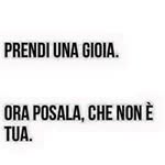 Ciro Costabile - @animalsshop.ancona - Instagram