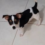 CIRO SEPULVEDA - @sepulveda_ciro - Instagram
